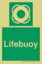 lifebuoy-with-symbol~